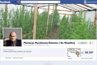 Plantacja marihuany Romana z Na Wspólnej na Facebooku