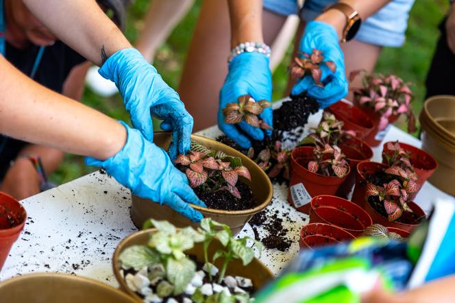 Wielki piknik kwietny – finał 40. edycji konkursu „Warszawa w kwiatach”