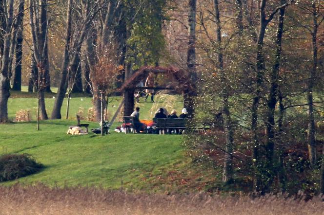 Rodzina dba o grób Piotra, urzędnicy chcą go zabrać