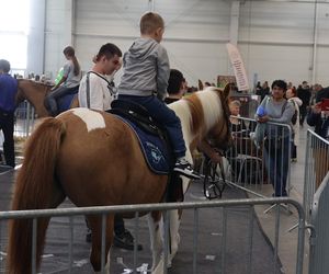 ZooPark ponownie przyciągnął do Targów Lublin tłumy miłośników zwierząt
