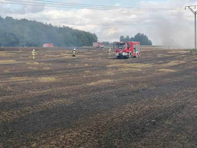 Pożar maszyny rolniczej, rżyska słomy i zboża - Lipowina gm. Braniewo