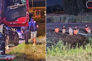 Wielka akcja pod Raszynem. Szukali tajemniczej paczki na dnie stawu. Strażacy wypompowali wodę