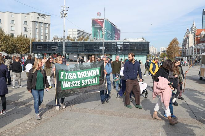 Ulicami Katowic przeszedł I Marsz Śląskiej Przyrody. Wydarzenie, jakiego jeszcze nie było