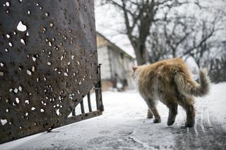 Konflikt wewnętrzny: Wyjątkowa wystawa zdjęć krakowskiego reportera [GALERIA]