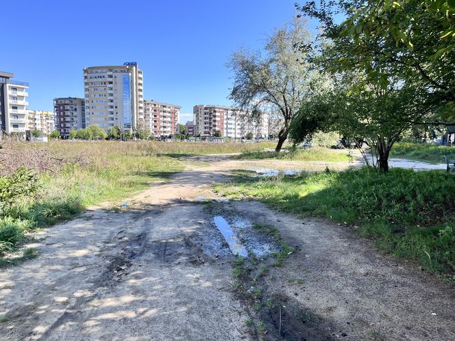 Tu powstanie skwer na poznańskiej Łacinie