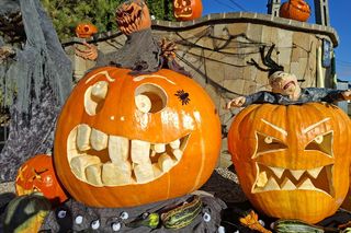 To najbardziej halloweenowy dom świętokrzyskiego