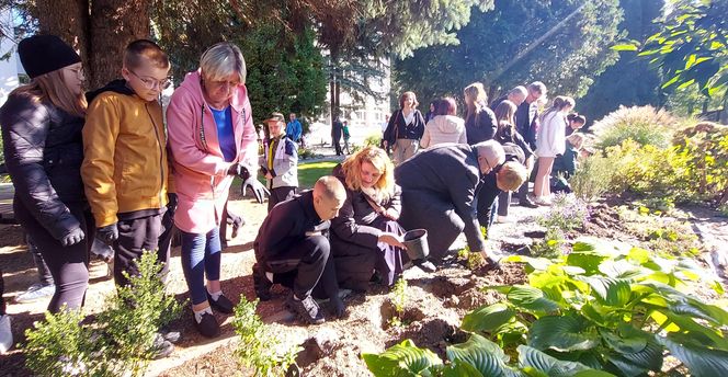 Ogród sensoryczno- naukowy przy SP nr 10 w Zamościu
