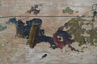 Przy remoncie Domu Ludowego odkryto cerkiew