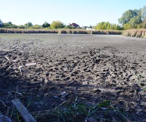 Wyschnięte Jeziorko Imielińskie w Warszawie