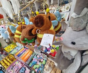 Te pamiątki kupuje się teraz na wakacjach. Najbardziej schodzą „brainroty”