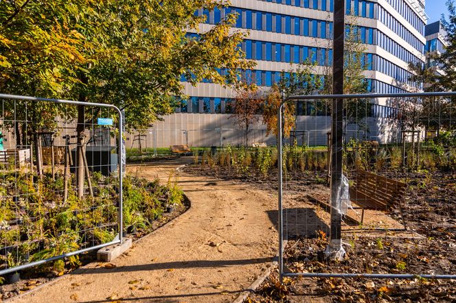 Park linearny na Służewcu w Warszawie pod koniec budowy