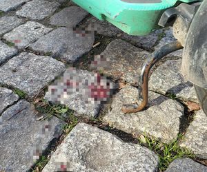Atak nożownika pod kebabem w Warszawie