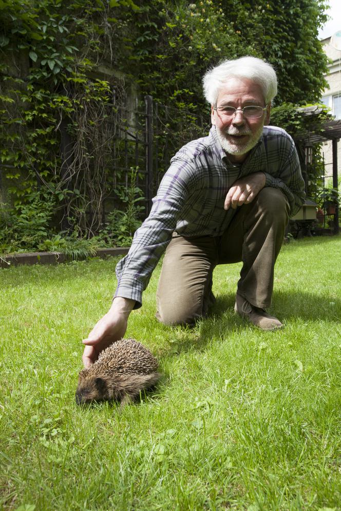 Pan Jerzy obrońca jeży