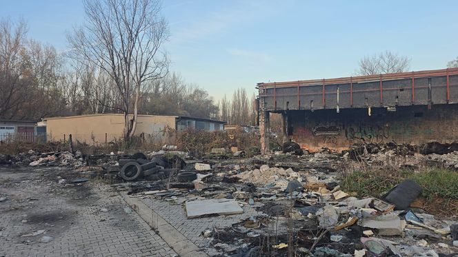 Duże zmiany Nowej Hucie. Trwa wielkie sprzątanie po latach zaniedbań 