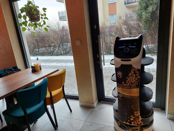 Nowa restauracja w Bydgoszczy. Gotują tu Azjaci, a do stołu podaje robot. Jest też pierwszy w regionie hot-pot