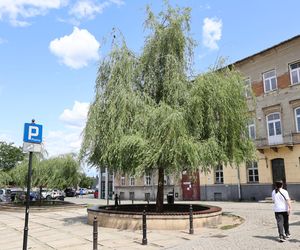 Tak wygląda pl. Rybny w Lublinie przed remontem