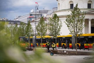 Więcej zieleni na placu Trzech Krzyży