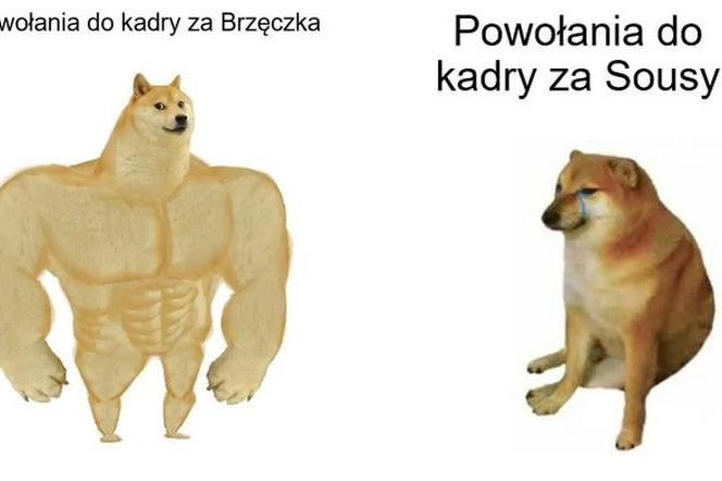 Reakcja internautów na powołania Sousy