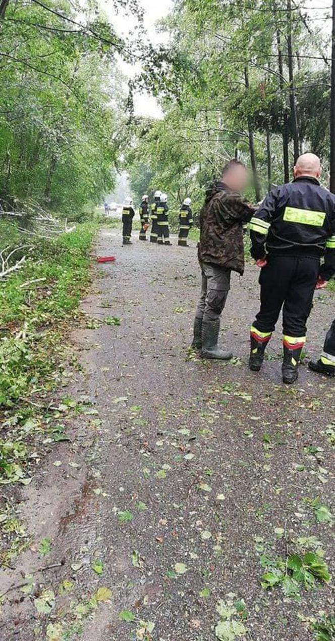 Nawałnica w gminie Lisia Góra łamała drzewa jak zapałki. Potężne zniszczenia 