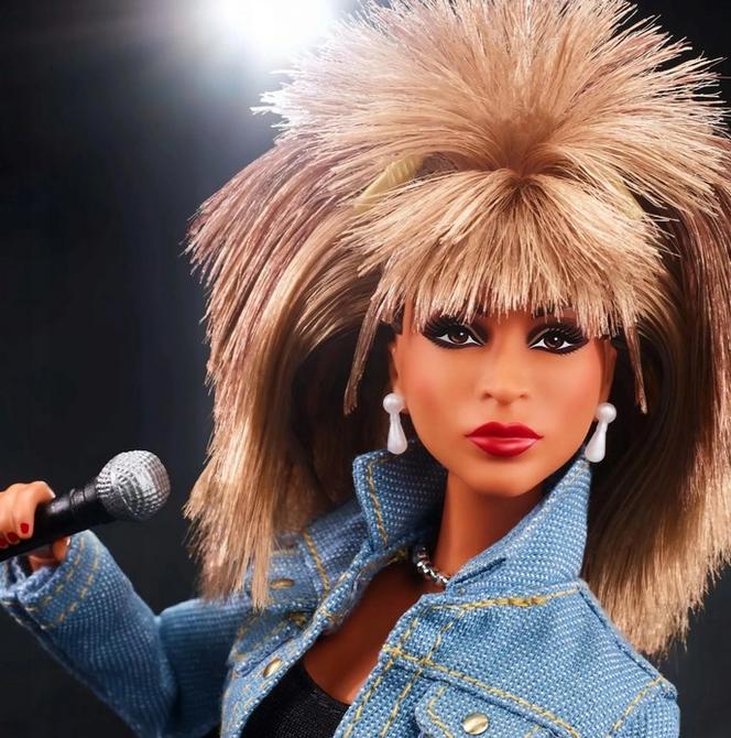 Barbie Tina Turner 