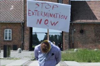 Performance Igora Dobrowolski