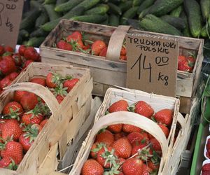  Ceny nowalijek na warszawskich bazarach szokują. Byliśmy i sprawdziliśmy ile trzeba zapłacić