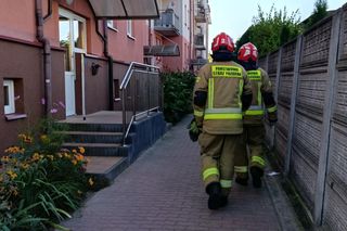 Niewiarygodne! 22-latek skoczył z drugiego piętra i uciekł do mieszkania. Co się stało w Siedlcach?