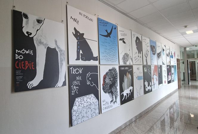 Ekspozycja „Mówię do Ciebie” – plakaty Danuty Żukowskiej w Bibliotece Pedagogicznej w Siedlcach