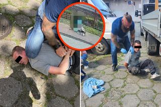 Napadł na seniorkę w biały dzień! 43-latek nie miał litości