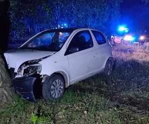 Pijany kierowca z zakazem uciekał przed policją. Finał na drzewie!