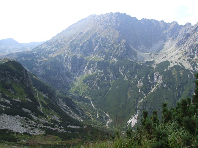 Dolina Roztoki w Tatrach