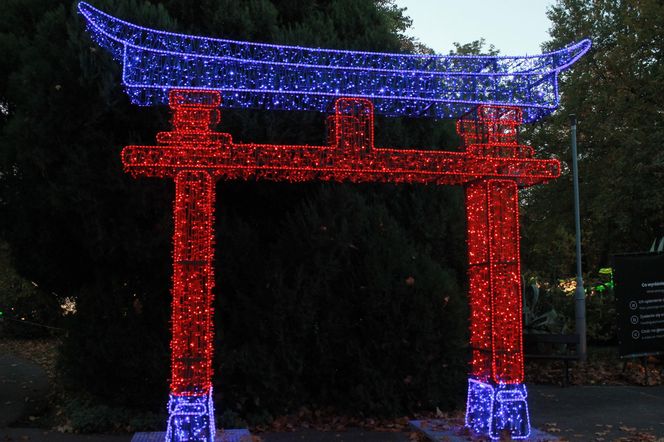 "Garden of Lights" ponownie rozświetlił wrocławskie zoo