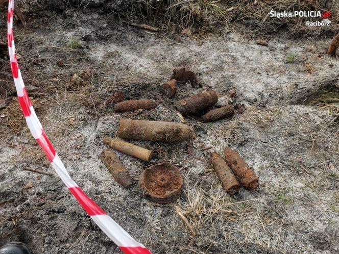 Śląskie: Rolnik dokonał szokującego odkrycia. Nieostrożność mogła go kosztować życie!