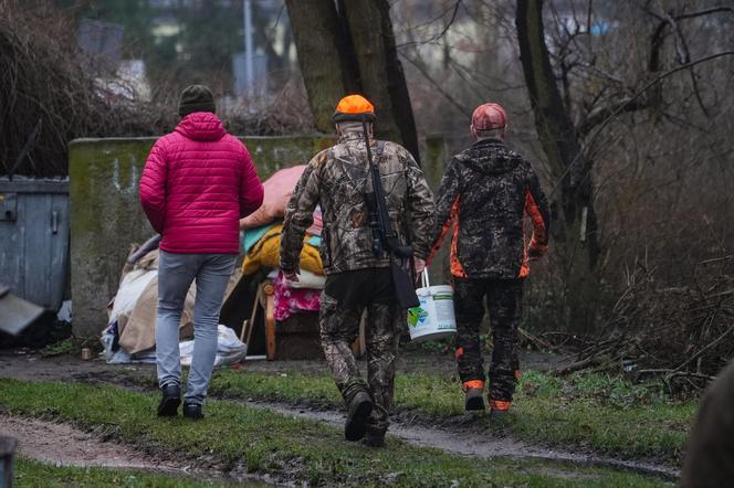 Myśliwi z długą bronią na ramieniu w środku toruńskiego osiedla przepędzali watahę dzików!