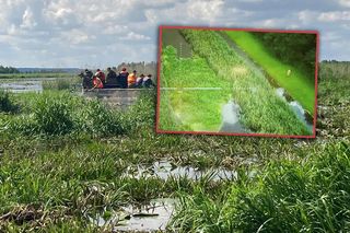 Zły stan wałów na Żuławach. „Są jak gąbka”. Wojskowe helikoptery w akcji
