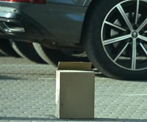 Grażyna Szapołowska sadzi się na wiosnę