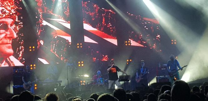 Koncert Kult w Katowicach 26.11.2022