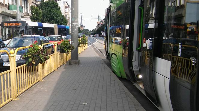 Kwietniki na przystanku tramwajowym na placu Kościuszki