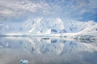 Antarktyda nad przepaścią? Uczeni nie kryją obaw 