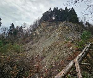 Setny rezerwat przyrody na Podkarpaciu 