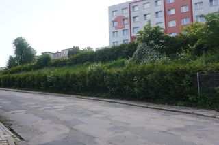 To najbrzydsza ulica w Olsztynie według AI. Stanowi kontrast do nowoczesnej infrastruktury