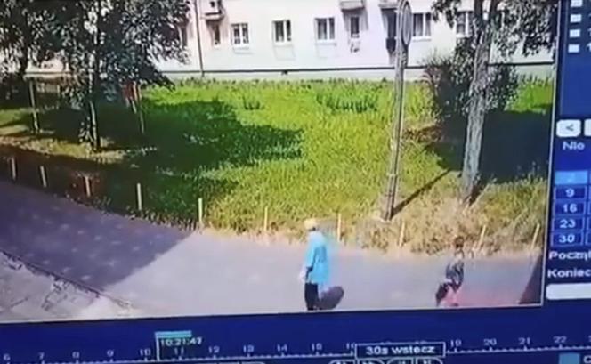 Wyciekło drastyczne nagranie. Śmieciarka zmiażdżyła spacerującą po chodniku emerytkę 