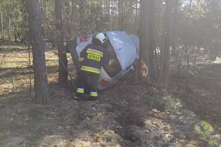 Wypadek na DW 686. Kierowca renault zaparkował między drzewami [ZDJĘCIA]