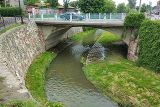 Sytuacja hydrologiczna w Tarnowie. Czy grozi nam powódź?