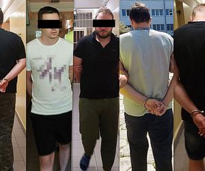 Chełmska policja wytropiła 5 pedofilów. Jeden z nich miał też pornografię zwierzęcą