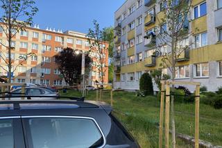 Wybuch w Kołobrzegu. Eksplodował pojemnik z szamponem