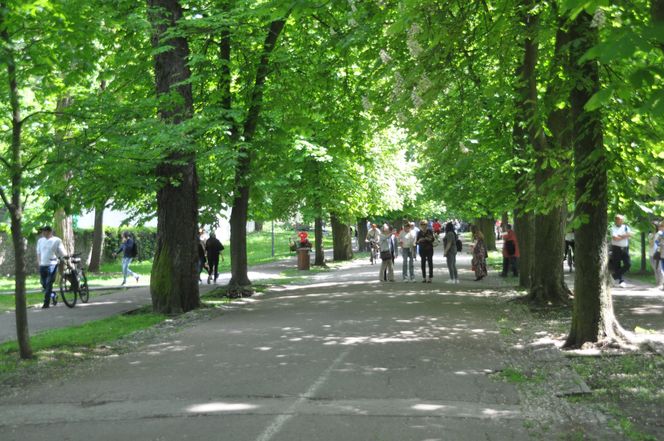 Kielce. Święto Konstytucji 3 Maja (2025)