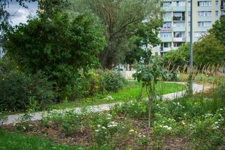 Stawy Brustmana po modernizacji