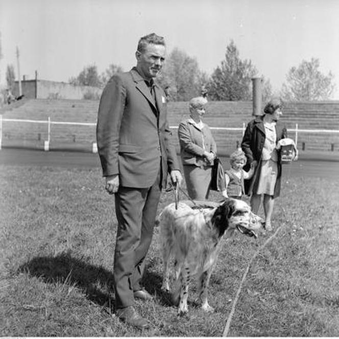 Wystawa psów na stadionie w Łodzi w maju 1972 roku