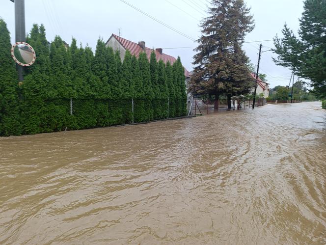 Zagrożenie powodziowe. Głuchołazy. Woda przelała się przez wały. Zalewa miasto